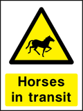 Horses in transit