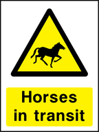 Horses in transit