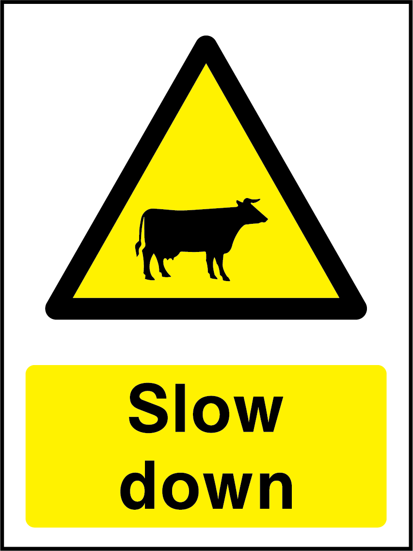 Slow down (cattle)
