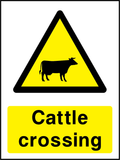 Cattle crossing