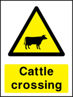 Cattle crossing