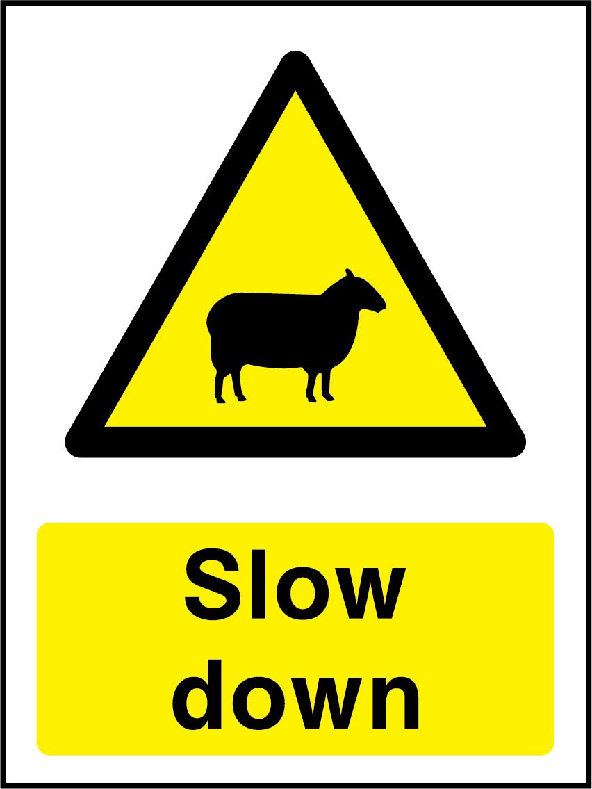 Slow down (sheep)