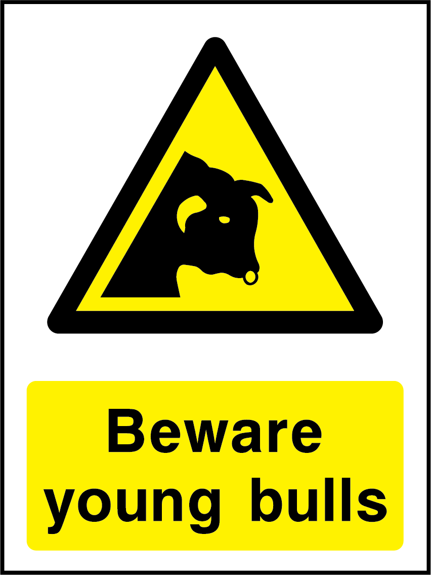 Beware young bulls
