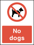 No dogs