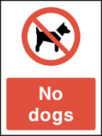 No dogs