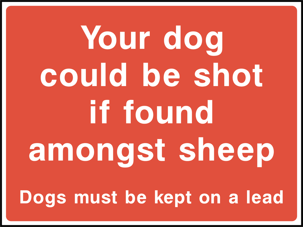 Your dog could shot if found among sheep, dogs must be kept on a lead