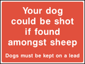 Your dog could shot if found among sheep, dogs must be kept on a lead