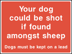 Your dog could shot if found among sheep, dogs must be kept on a lead
