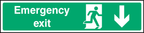 Emergency exit (down arrow)