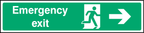 Emergency exit (right arrow)